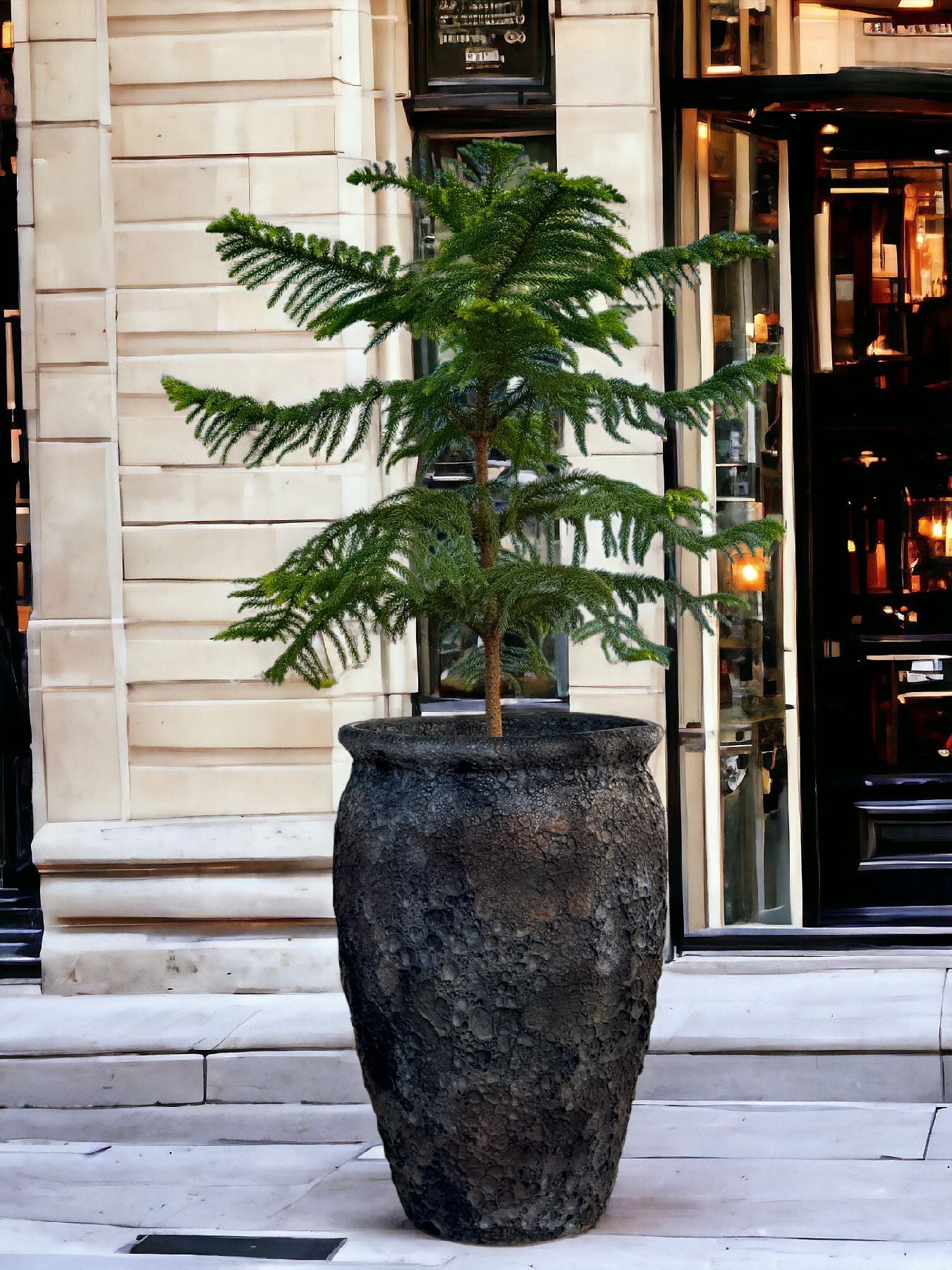 CEYA HOMES RUSTIC BLACK PLANTER 18" x 11"