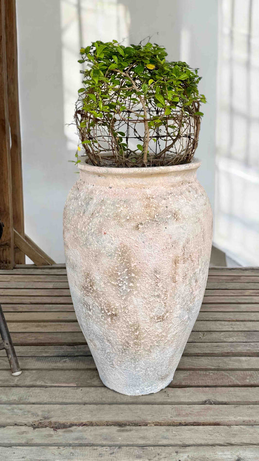 CEYA HOMES OSLO MORNING PLANTER 23" x 15"