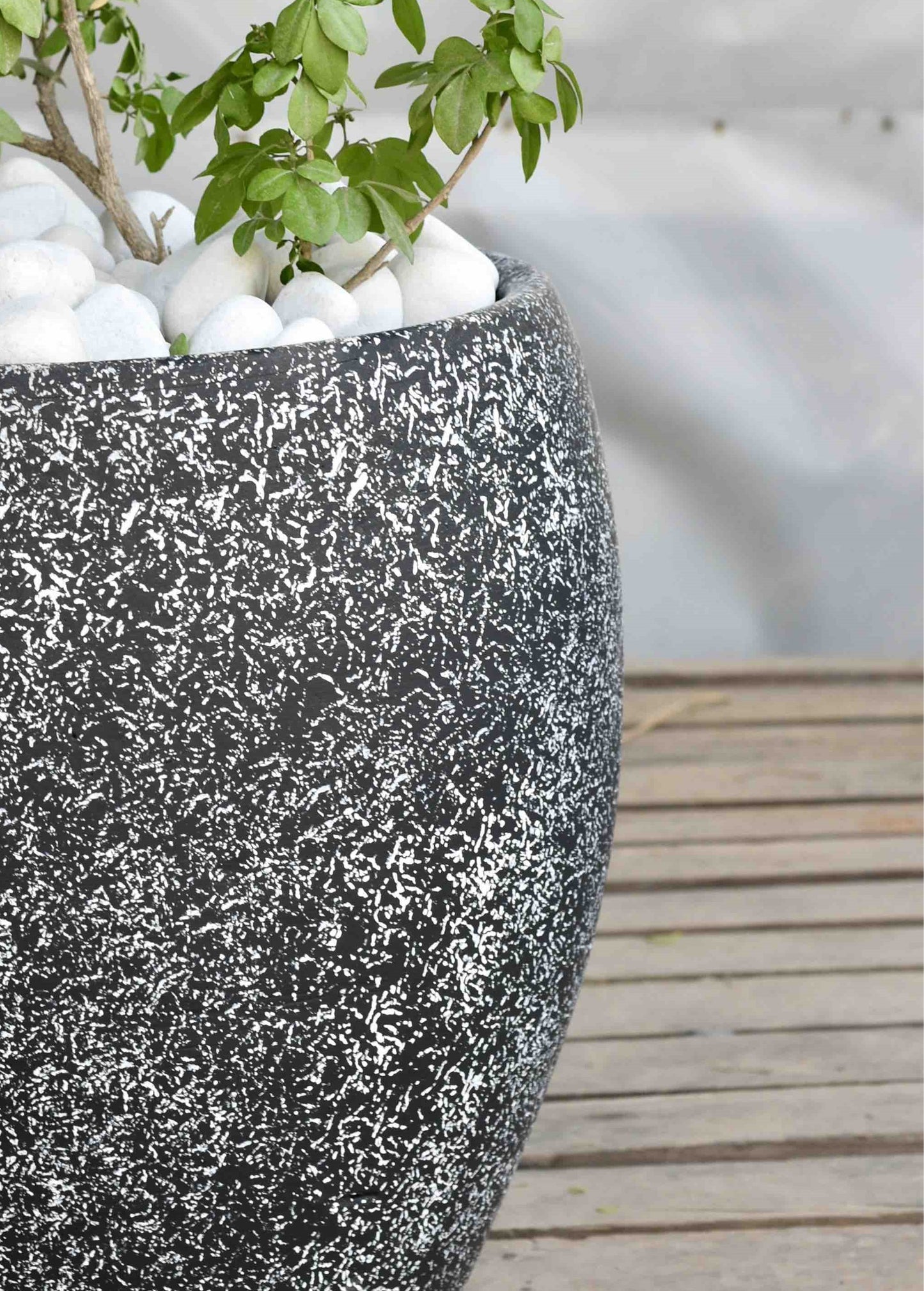CEYA HOMES CONCRETE STARLIGHT PLANTER 15" x 14"